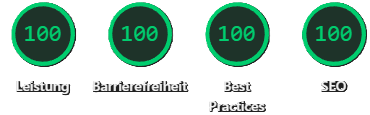 Screenshot des Google Lighthouse Testergebnisses